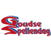 goudse-spellendag-av